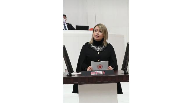 Mutlu Aydemir’e TBMM ‘de yeni görev