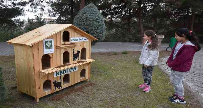 Soğuk kış günlerinde sokak kedilerine sıcak yuva