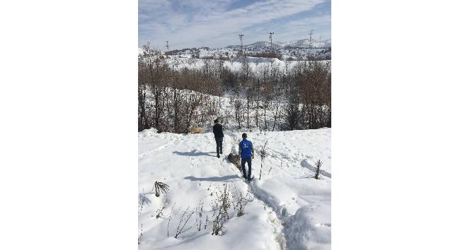 Bingöl’de gönüllüler doğaya yem bıraktı