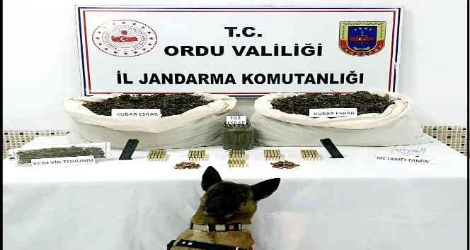Ordu’da uyuşturucu operasyonu