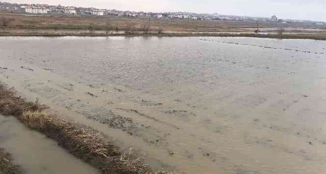 Ergene Nehri taştı, tarım arazileri su altında kaldı