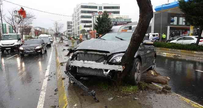 Pendik’te aşırı hızlı otomobil, aydınlatma direği ve ağaca çarpıp yerinden söktü