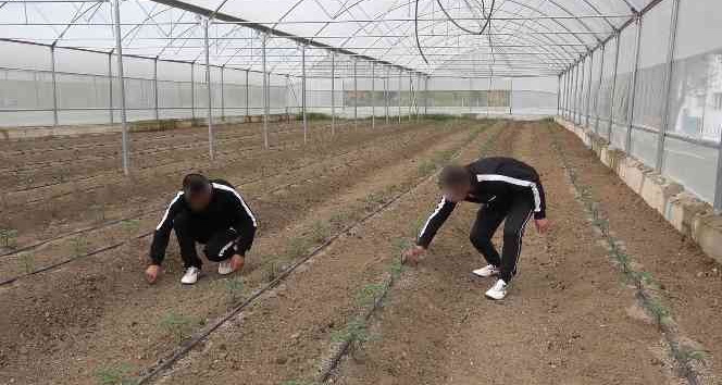 Uyuşturucu bağımlıları Huzur Köy’de yeniden hayata tutunuyor