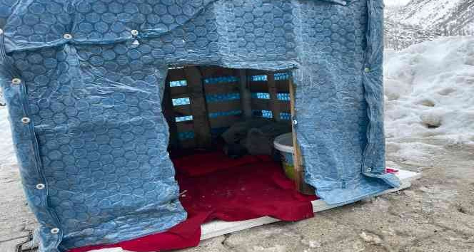 Şırnak’ın Uludere ilçesinde güvenlik güçleri sokak hayvanlarına kulübe bıraktı