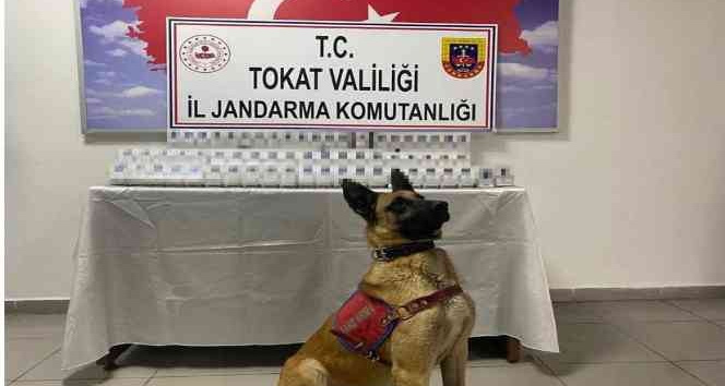 Yolcu otobüsünde kaçak sigara ele geçirildi