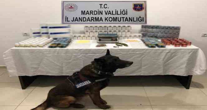 Mardin’de uyuşturucu satıcısına jandarma baskını