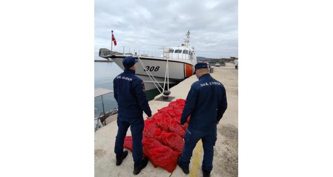 1 ton kaçak kum midyesi taşıyan tekne radara takıldı: 297 bin TL ceza kesildi
