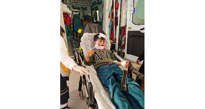 Nusaybin’de köpeklerin saldırısına uğrayan çocuk ağır yaralandı