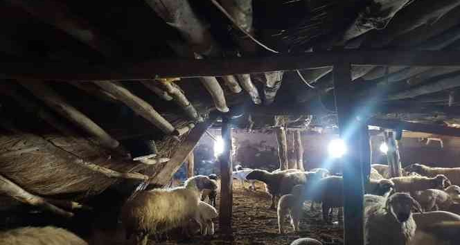 Karaman’da karın ağırlığına dayanamayan ağılının çatısı çöktü