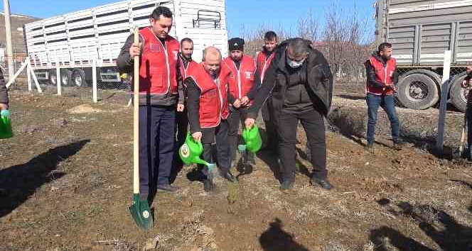 112 fidan 112 saniyede toprakla buluşturuldu