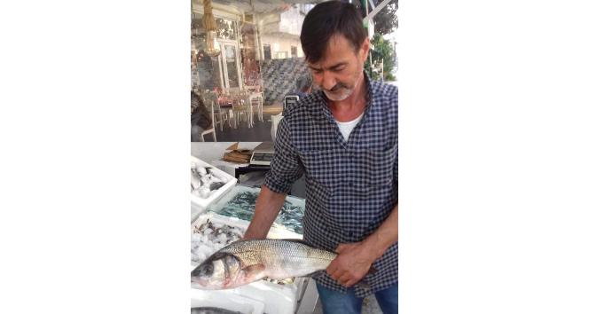 Ordu’da trafik kazası: 1 ölü, 2 yaralı