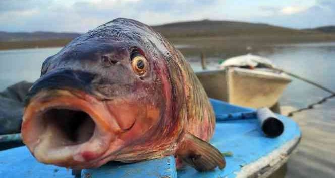 Denizi olmayan Yozgat’ta rızıklarını tekne balıkçılığıyla çıkarıyorlar