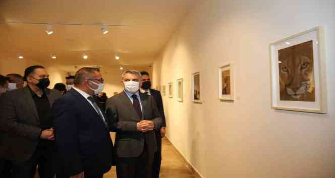 Tunceli’de ’Necefli Maşrapa Serisi: Hayvan Krallığı-II’ sergisi açıldı