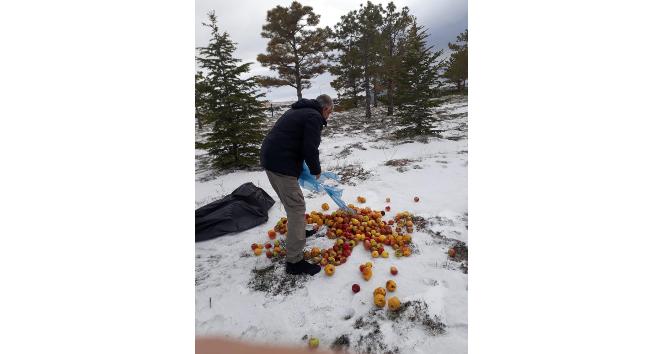 Yaban hayvanları için yem bırakıldı