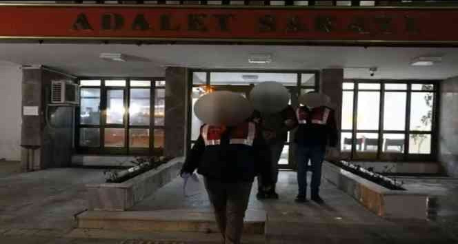 Tunceli’de terör örgütü üyesi yakalandı