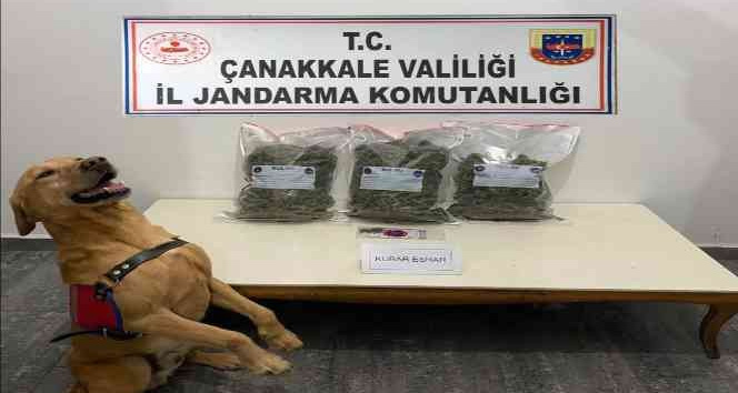 Çanakkale’de uyuşturucu operasyonu: 2 gözaltı