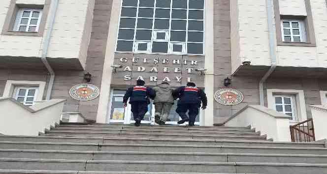 FETÖ operasyonda 1 kişi tutuklandı