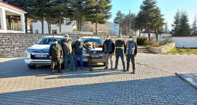 Tunceli’de iki yaban keçisi avlayan şahıslara 125 bin lira ceza kesildi