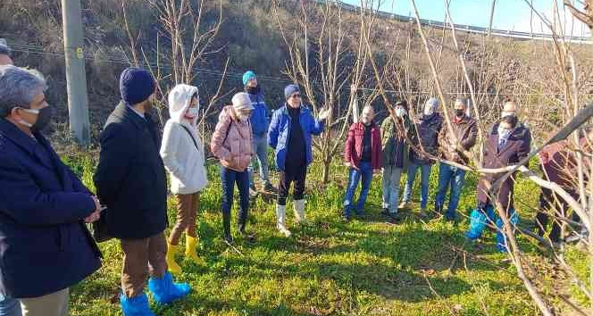 Altınova’da çiftçilere budama eğitimi