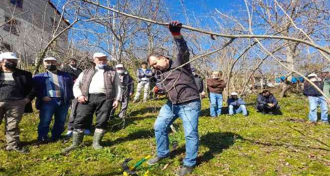 Fındık üreticisine budama ve gübrelere eğitimi veriliyor