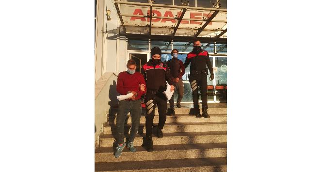 Pulluk hırsızları yakalandı