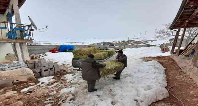Yaban hayatına köylü ve hayırseverlerden destek