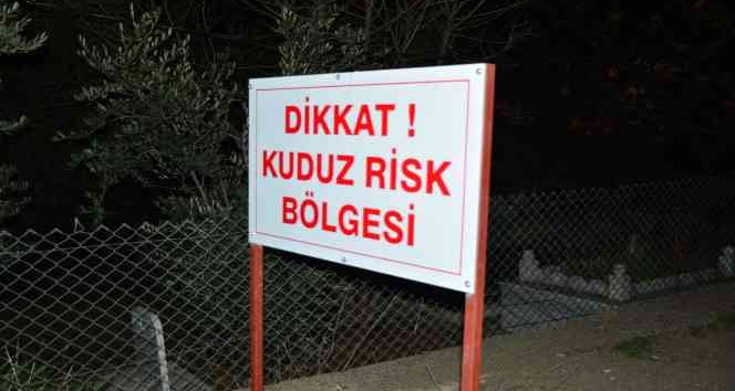 Mardin’de vatandaşlara saldıran köpek kuduz çıktı, mahalle karantinaya alındı