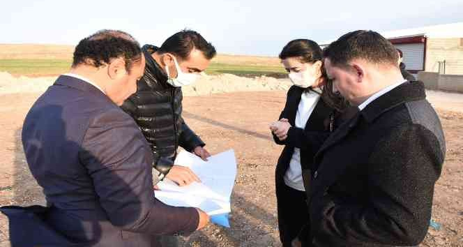 Kaymakam talimat verdi, Nusaybin’e hayvan barınağı yapılıyor