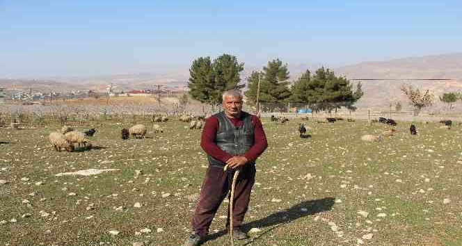 Kentten köye göç edip devlet desteğiyle çiftçilik yapıyorlar