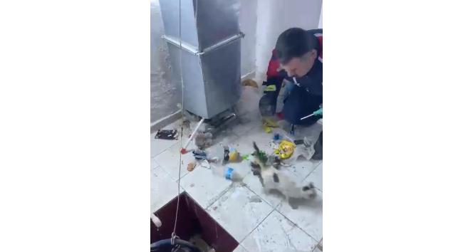 Havalandırmada sıkışan yavru kediyi itfaiye kurtardı