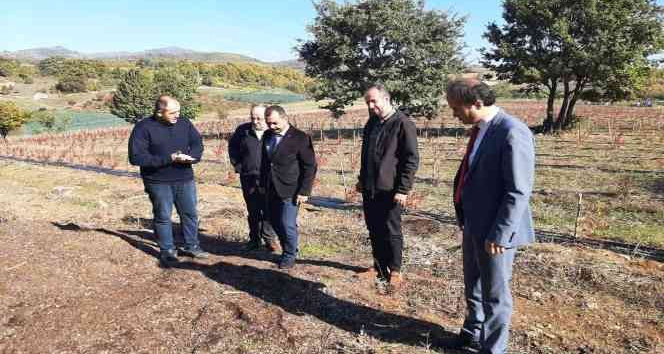 Yalova’dan dünya pazarına