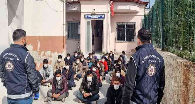 "Banker Bilo" filmi gerçek oldu