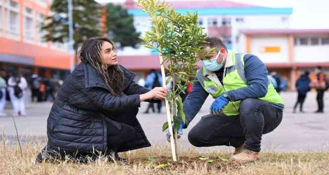 Altınordu’da okul bahçeleri yeşilleniyor