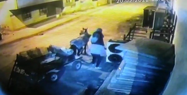 Mardin’de at arabalı hırsızlar kameraya yakalandı