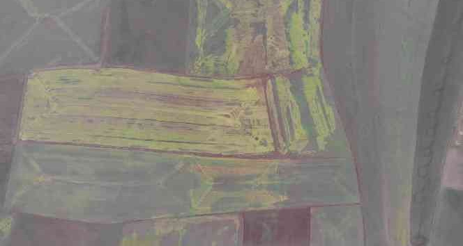 Artan yağışlar kuraklık endişesindeki çiftçiye umut oldu: "Bu sene bolluk var"