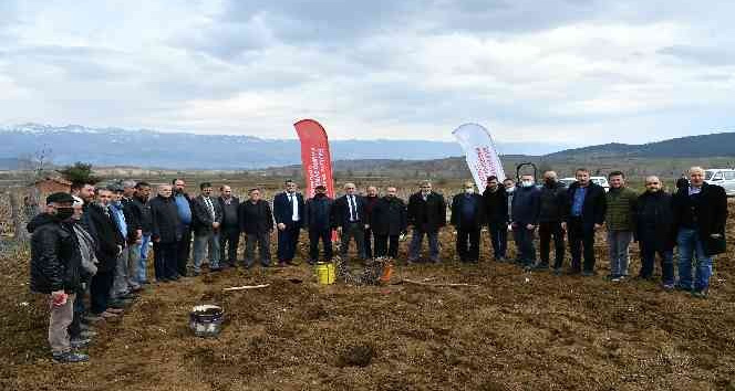 78 çiftçiye 61 bin 250 adet bağ fidanı dağıtıldı