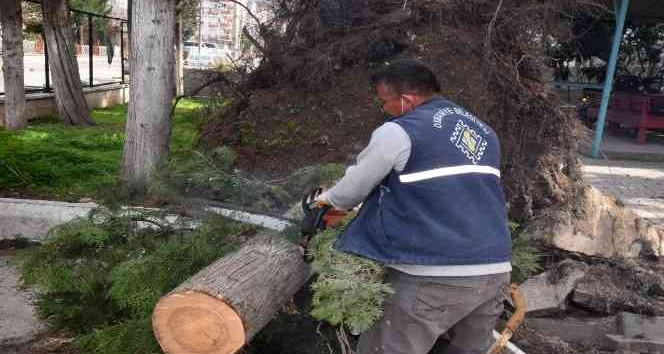 Osmaniye’de fırtına sonrası temizlik çalışmaları sürüyor