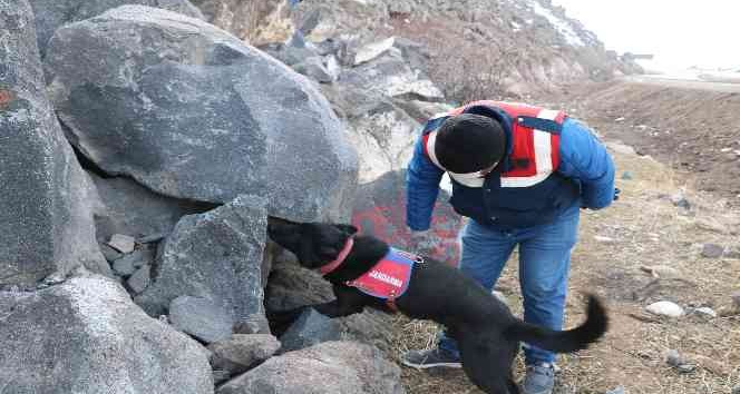 Iğdır’da 2 kilo 648 gram eroin ele geçirildi
