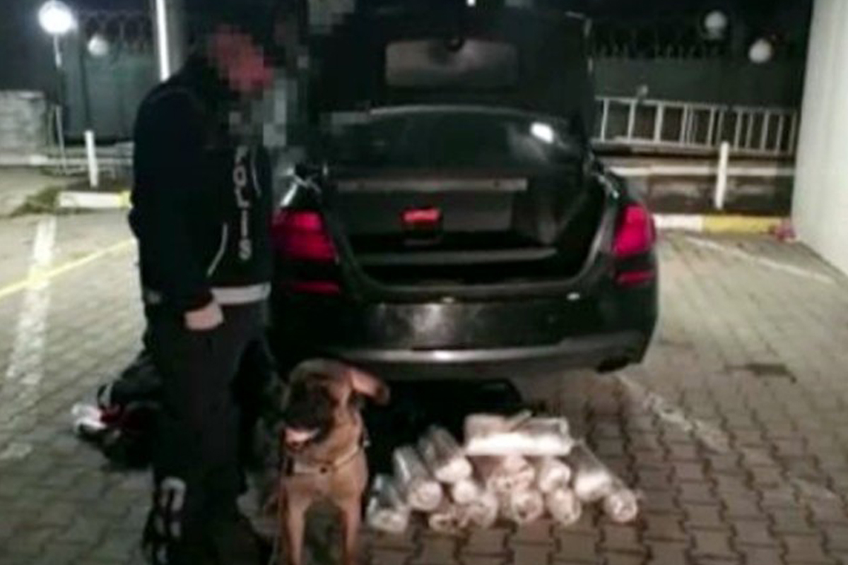 Piyasa değeri 1 milyon TL’nin üzerindeydi Sakarya’da ele geçirildi