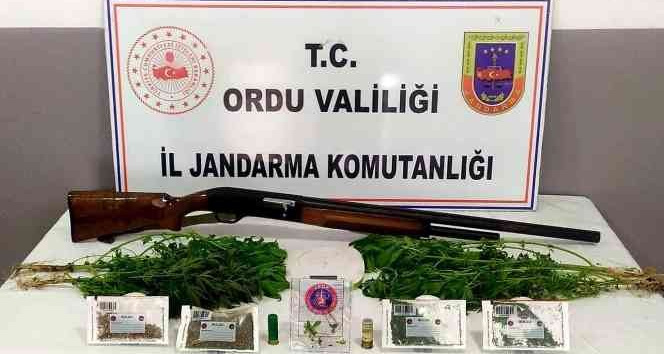Ordu’da uyuşturucu mücadelesi sürüyor