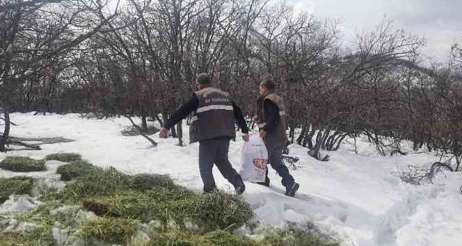 Tunceli’de yaban hayvanları için doğaya yem bırakıldı
