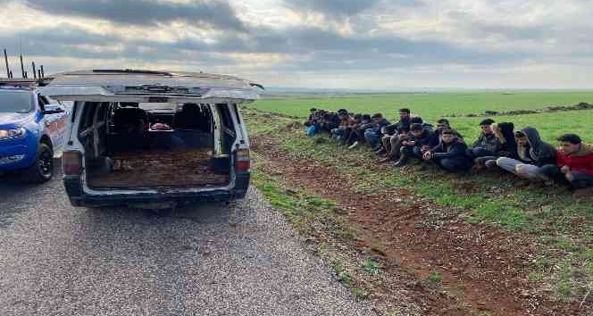 Kilis’te düzensiz göçmen kaçakçılığı
