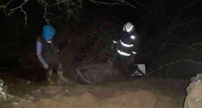 Çamura saplanan ineği itfaiye ekipleri kurtardı