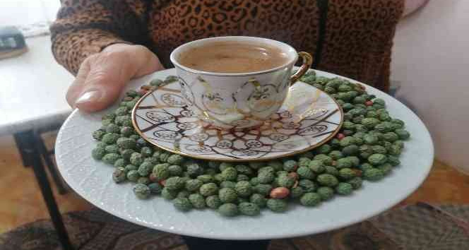 Elazığ’da ‘Çedene kahvesinin’ tescillenmesi üreticiyi sevindirdi