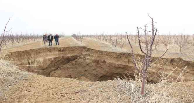Karaman’da oluşan dev obruk, elma ağaçlarını yuttu