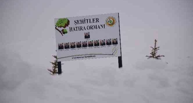 11 askerin şehit olduğu bölgede sis ve kar