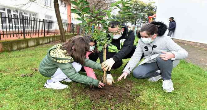 Altınordu’da fidanlar toprakla buluşturuluyor