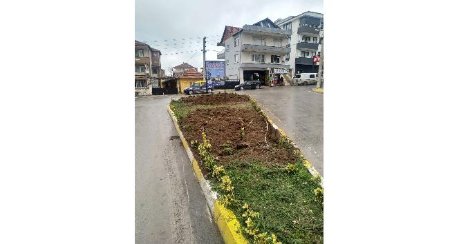 Yalova Taşköprü’de saat kulesi için ağaç kesilmesine tepki