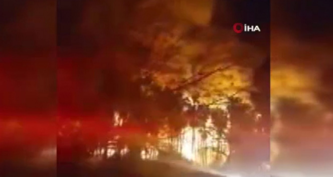 Meksikada çıkan orman yangınında 22 ev kül oldu