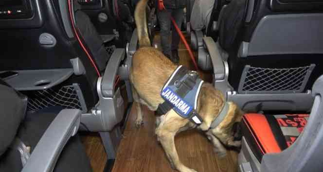 Narkotik köpeği ’Tepe’ uyuşturucu madde buldu